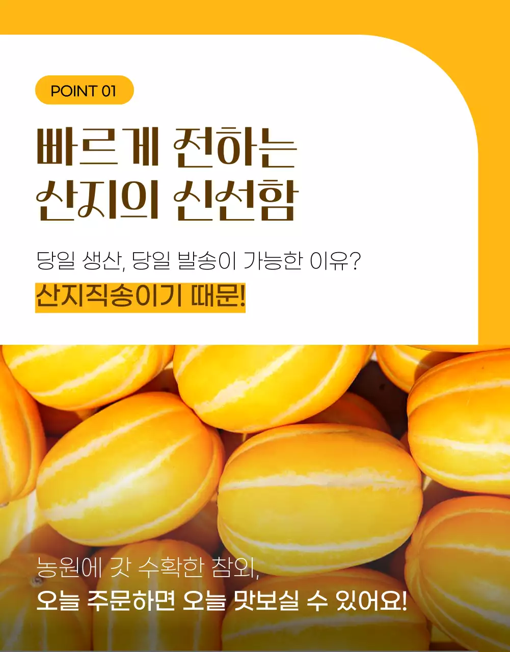 노랑의 심플한 참외 홍보