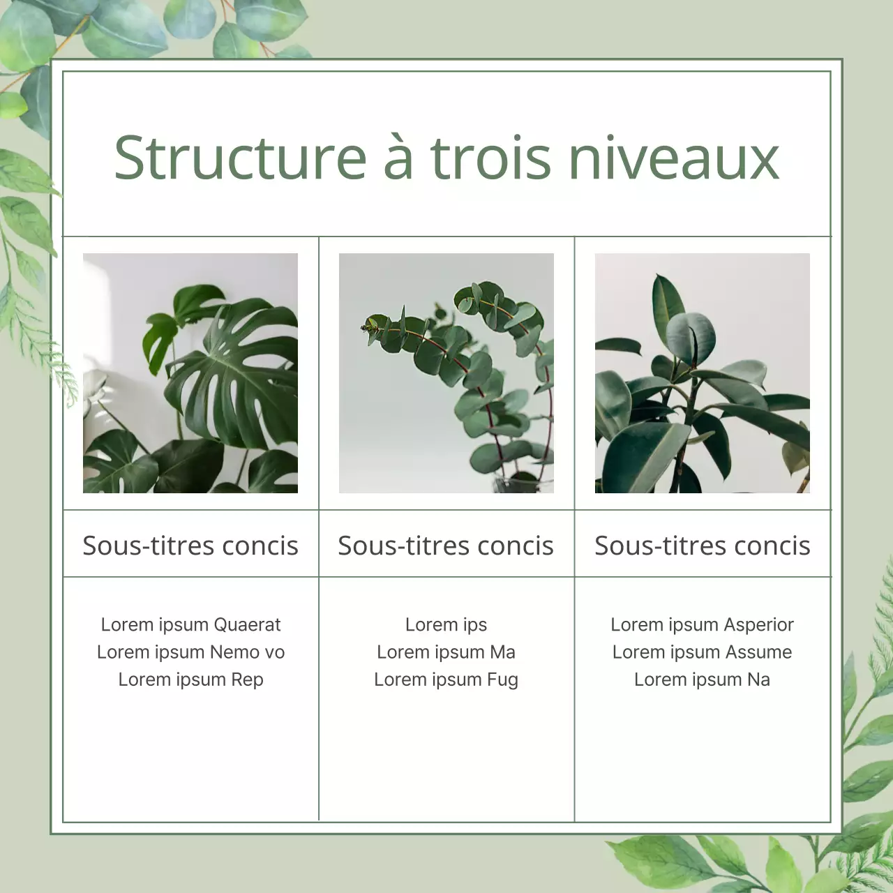 Une illustration botanique avec une touche de vert et de printemps naturel Expliqué