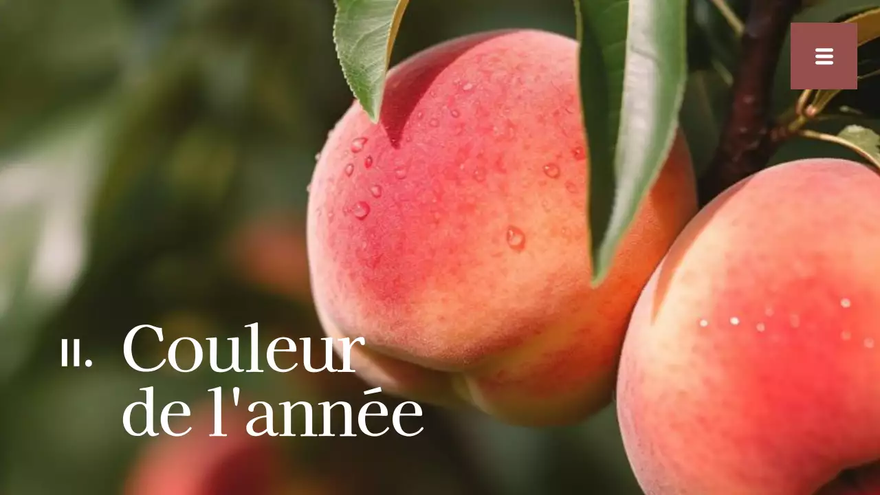 Rapport sur les tendances des couleurs simples beige et blanc Ressources