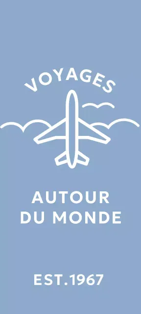 Concept simple d'agence de voyage avec illustration d'un avion