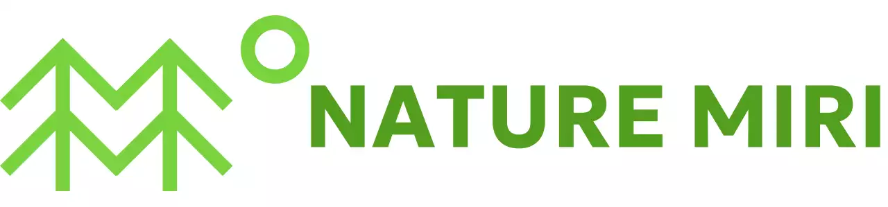 Conservation simple de la nature avec des illustrations d'arbres et des couleurs vertes