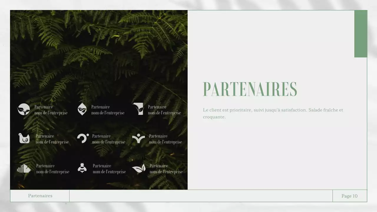 Matériel de rapport d'activité sur le thème de la nature, blanc et vert