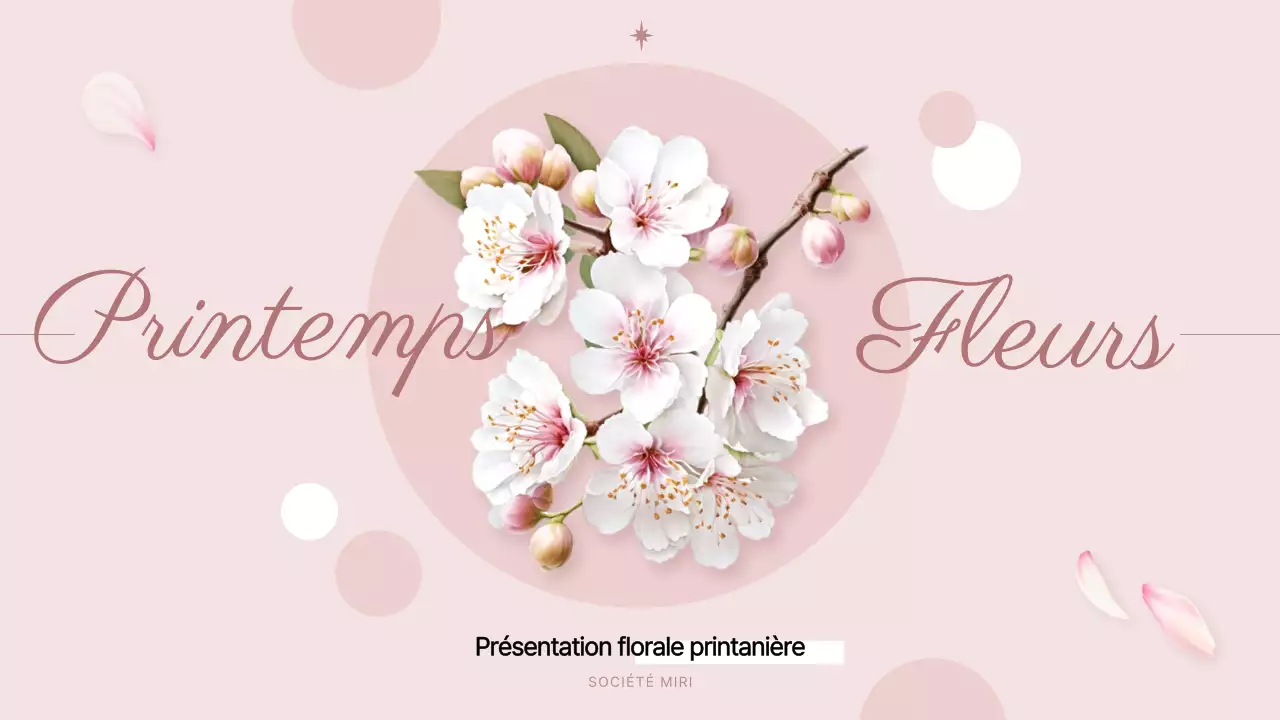 Jolies fleurs printanières en présentation rose et blanche