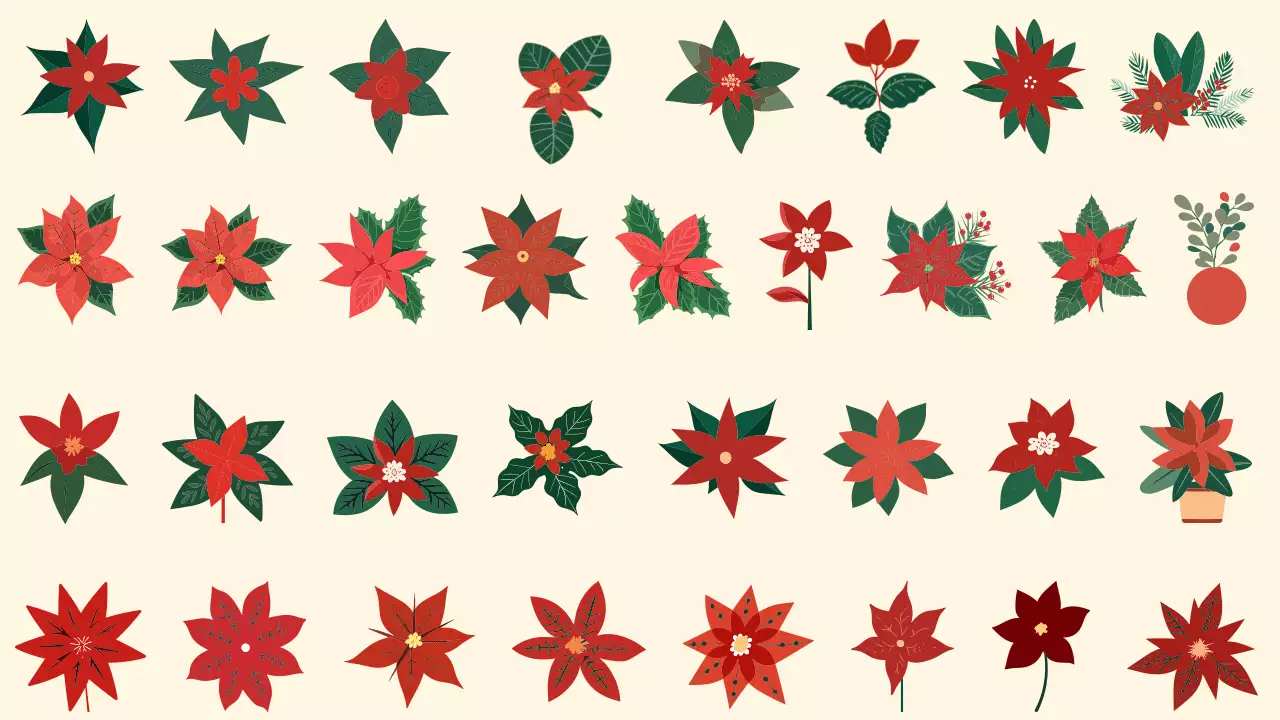 Collection d'éléments décoratifs de Noël