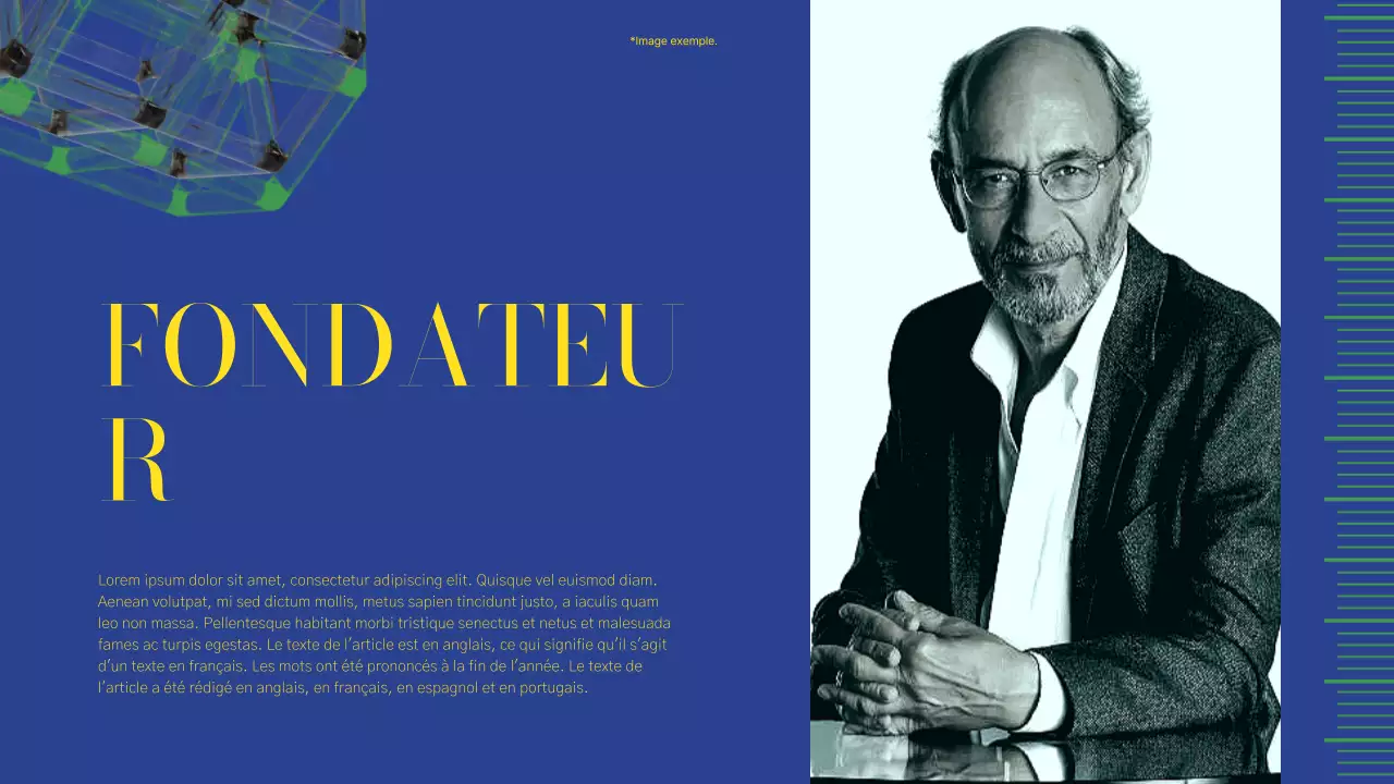 Rapport sur le profil des entreprises modernes vertes et roses