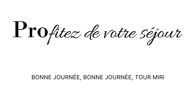 Agence de voyage simple avec polices à empattement et cursive