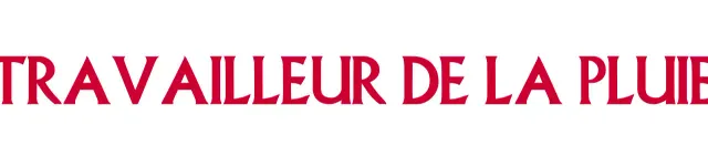 Conception des couleurs dans le style d'un magazine avec des polices de caractères élégantes