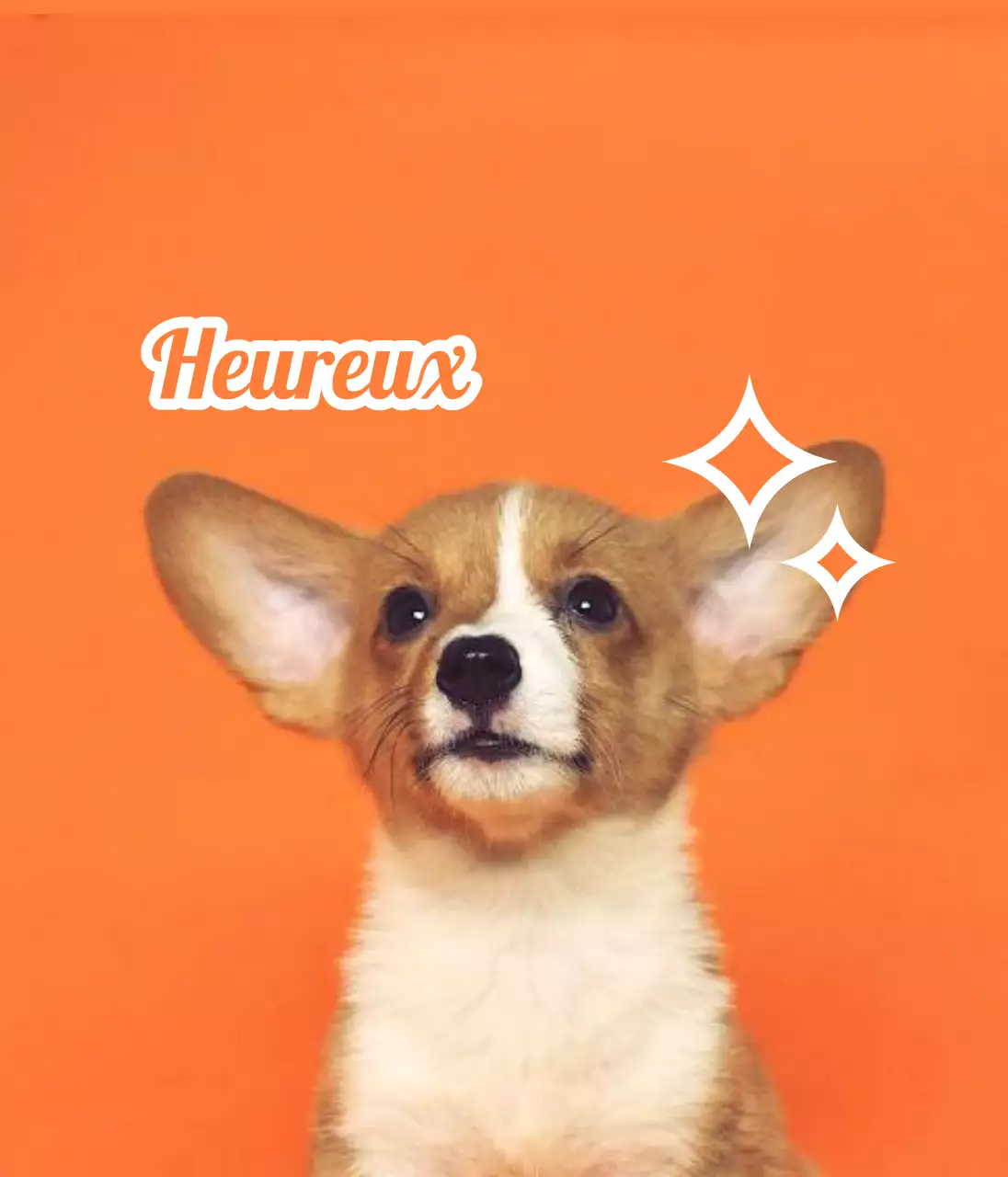 Créer des badges avec des photos d'animaux mignons