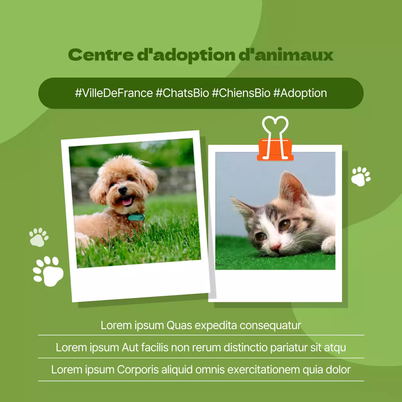 Faites la promotion de votre centre d'adoption d'animaux de compagnie dans un style orange et mignon