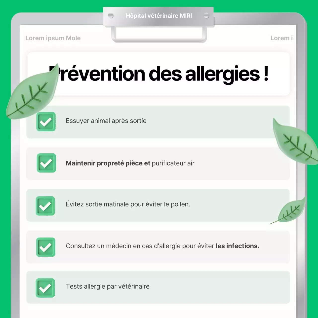 Les soins printaniers pour animaux de compagnie expliqués dans des couleurs vertes et brunes simples