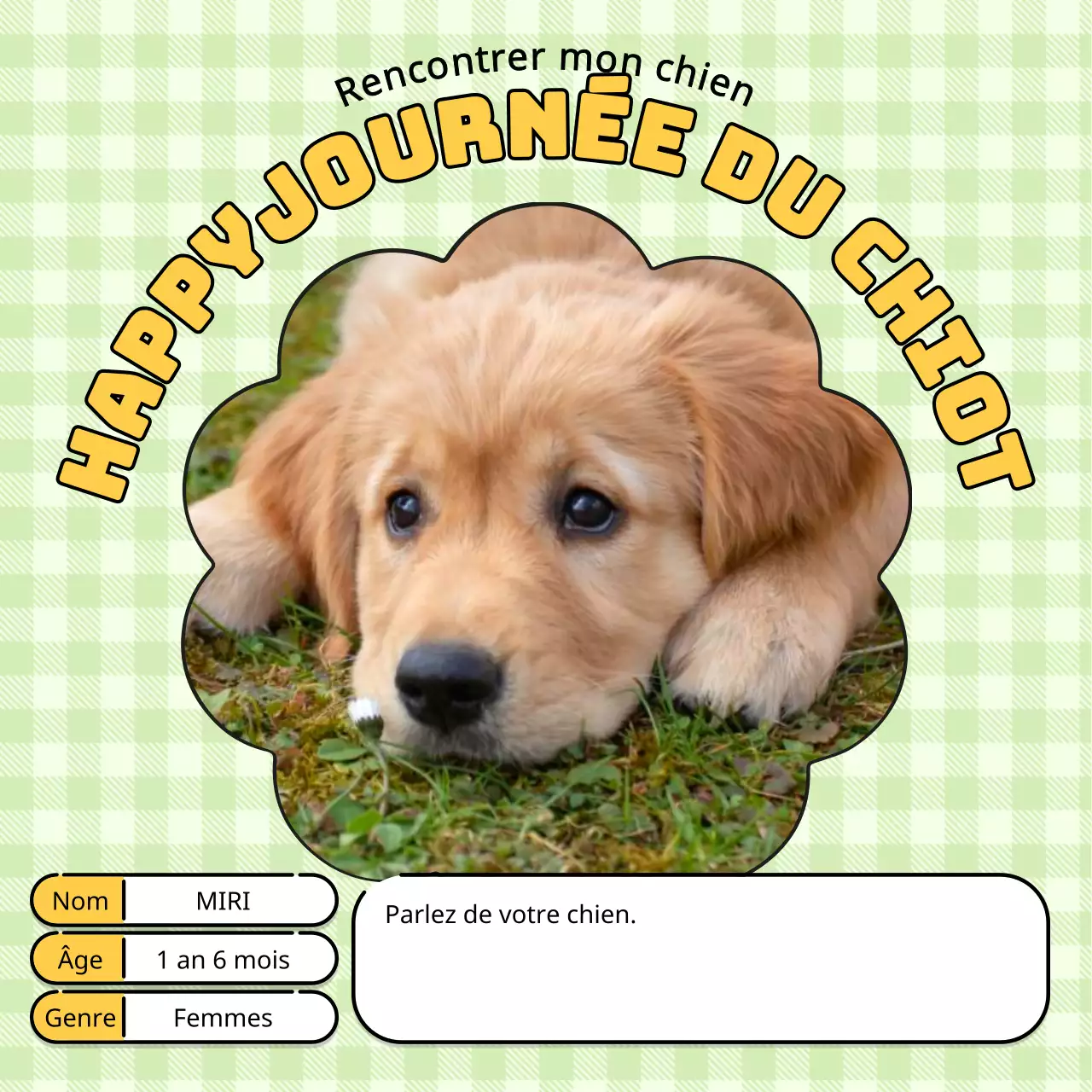 Promouvoir un chiot kitsch en chartreuse