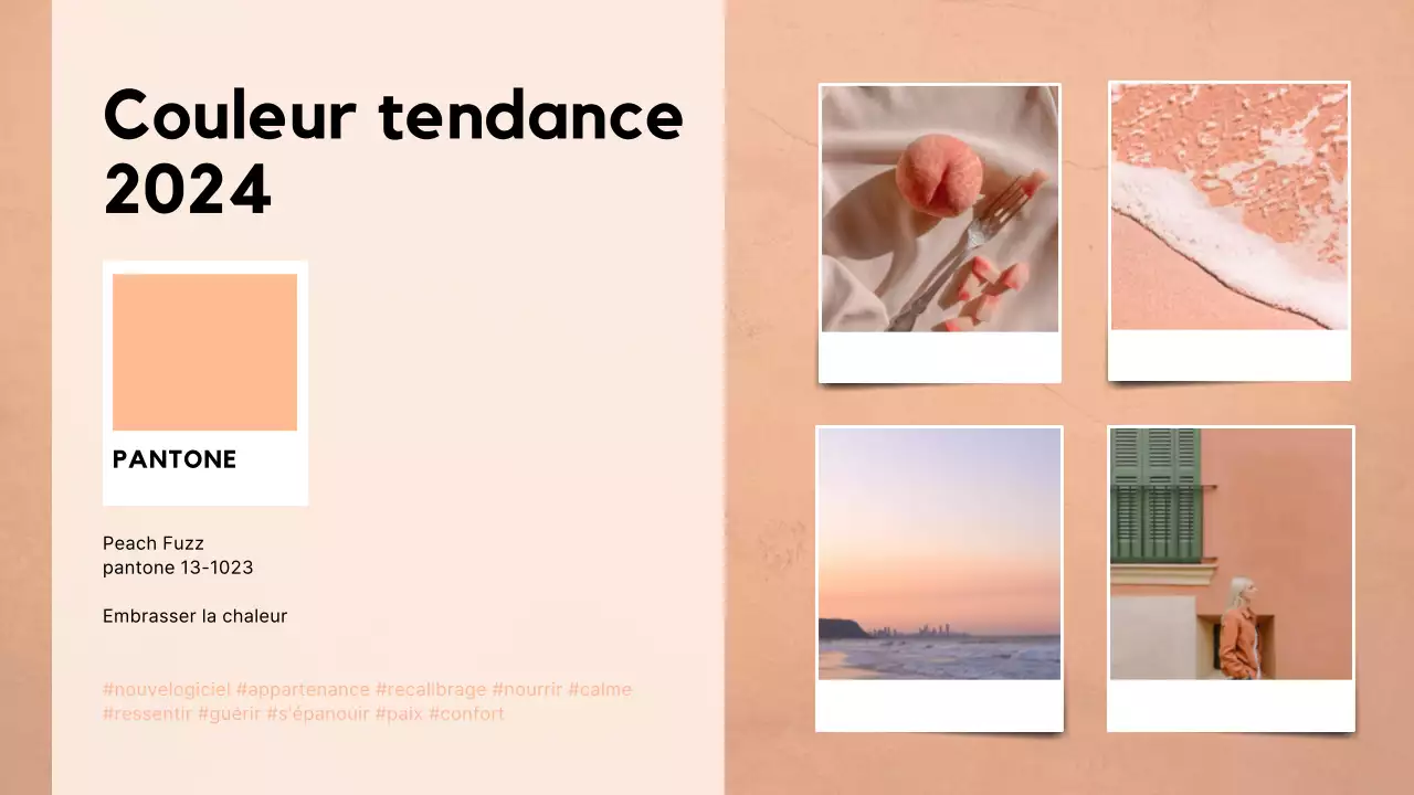 Beige et blanc : un rapport élégant sur les tendances en matière de couleurs