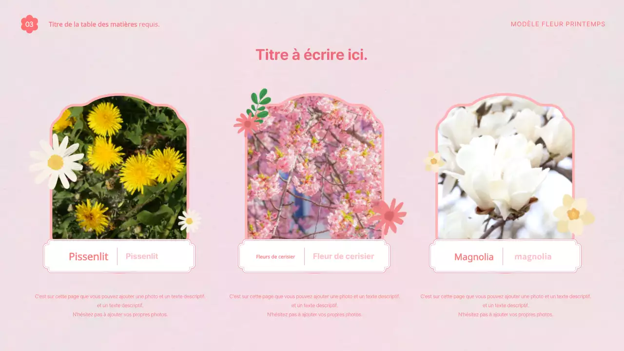 Proposition de modèle avec de jolies fleurs de printemps en rose et blanc