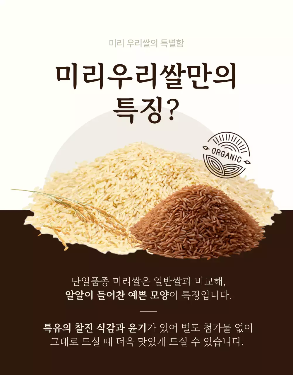 갈색과 아이보리색의 모던한 유기농 쌀 소개서