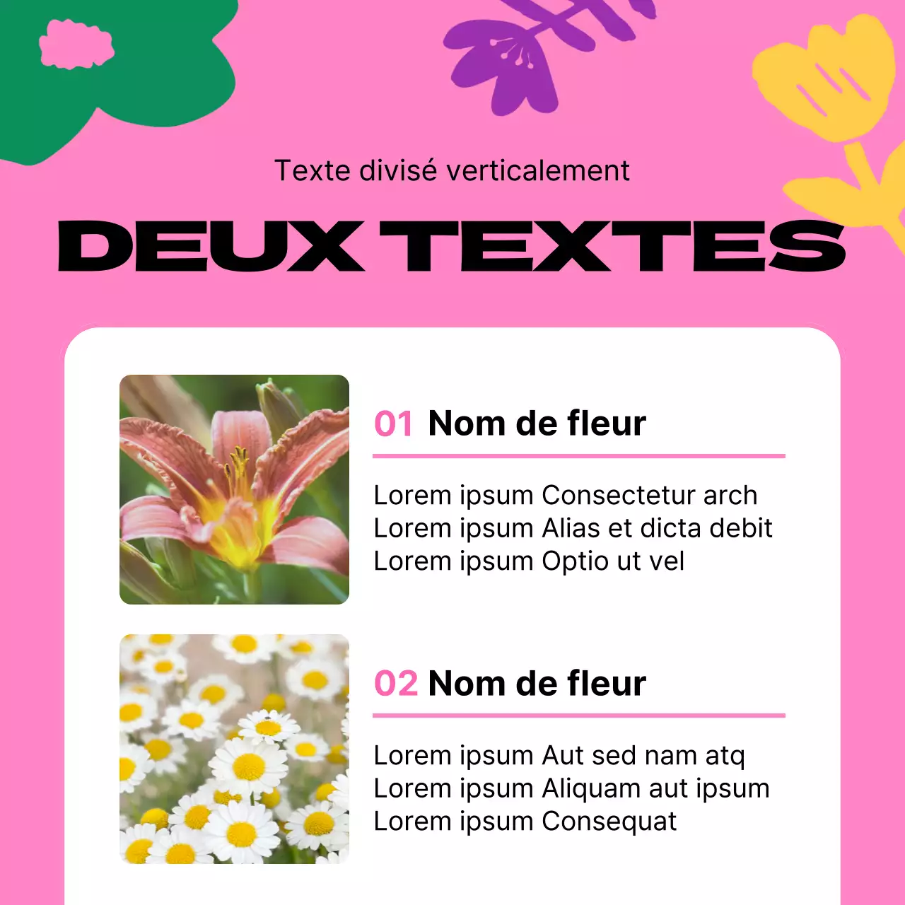Guide des jolies fleurs de printemps jaunes et roses