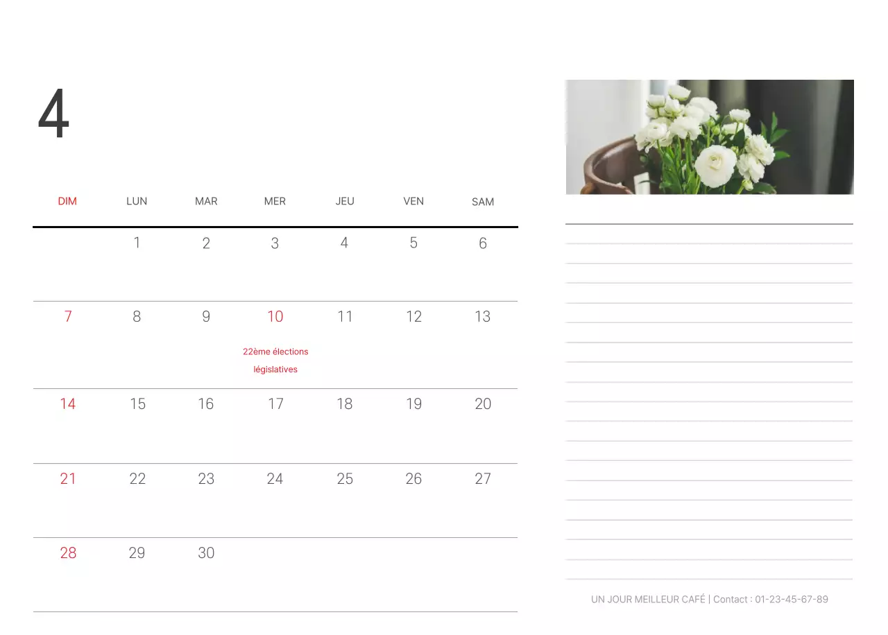 Nature botanique blanche et propre