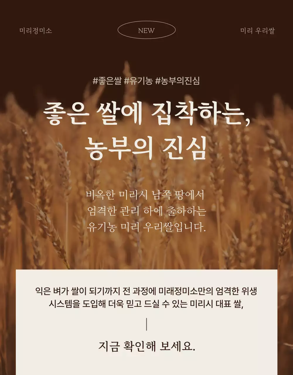 갈색과 아이보리색의 모던한 유기농 쌀 소개서