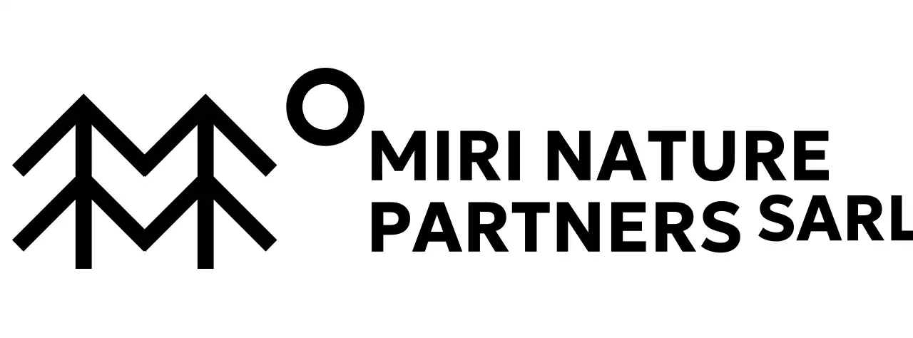 Conservation simple de la nature avec des illustrations d'arbres