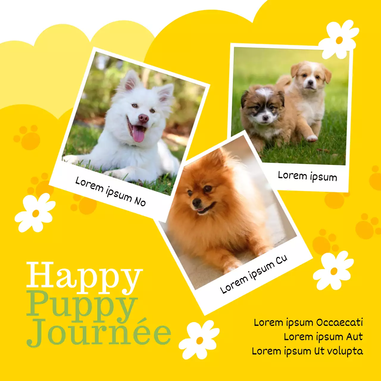 Promouvoir la Journée mondiale du chiot avec cette adorable combinaison de couleurs jaune et chartreuse