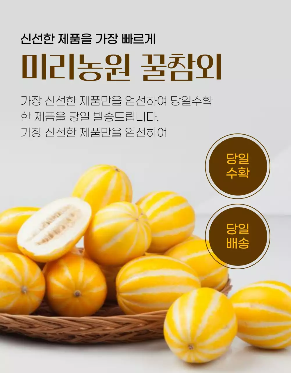 노랑의 심플한 참외 홍보