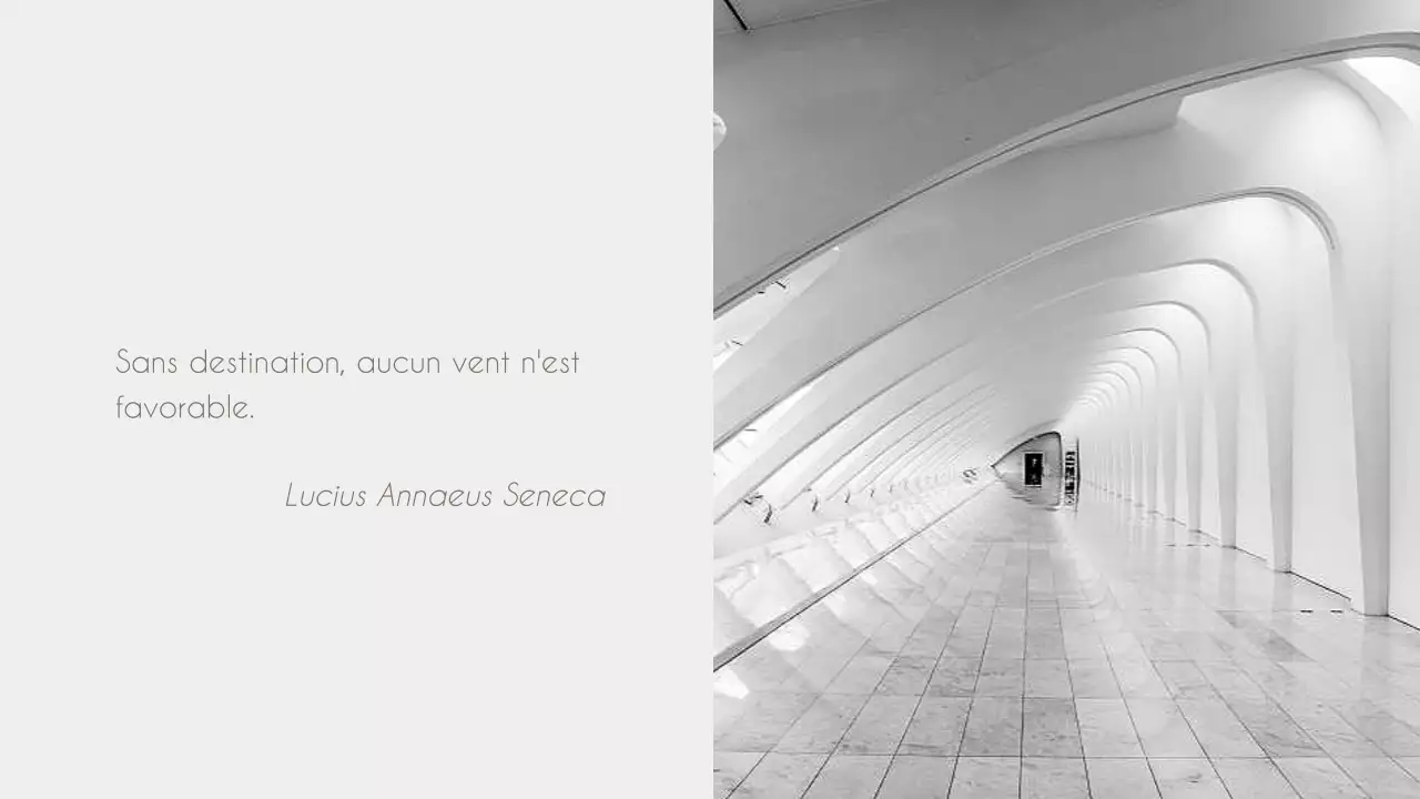 Rapports d'activité élégants en noir et blanc