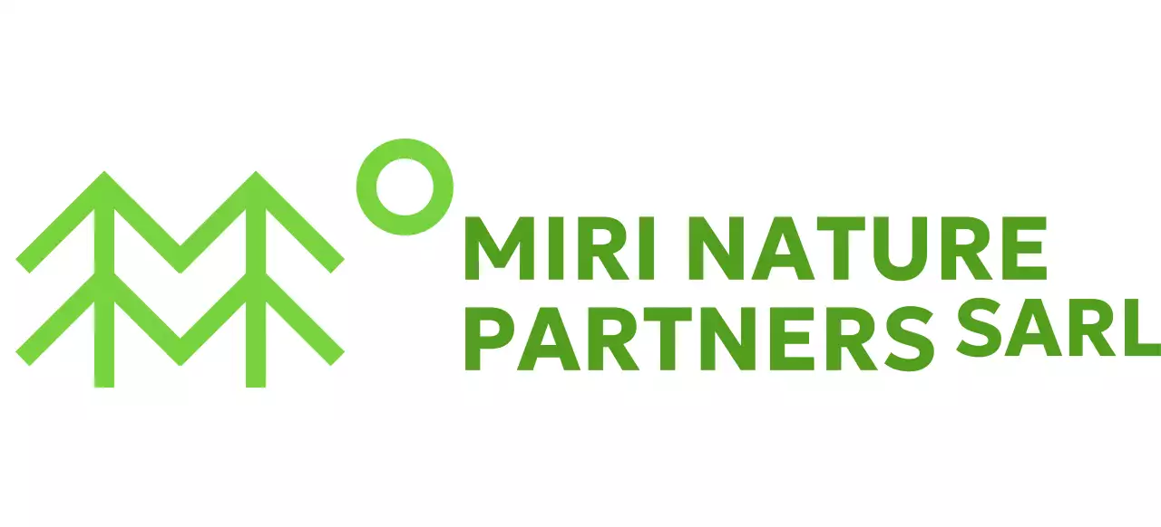 Conservation de la nature avec des illustrations simples d'arbres et des couleurs vertes