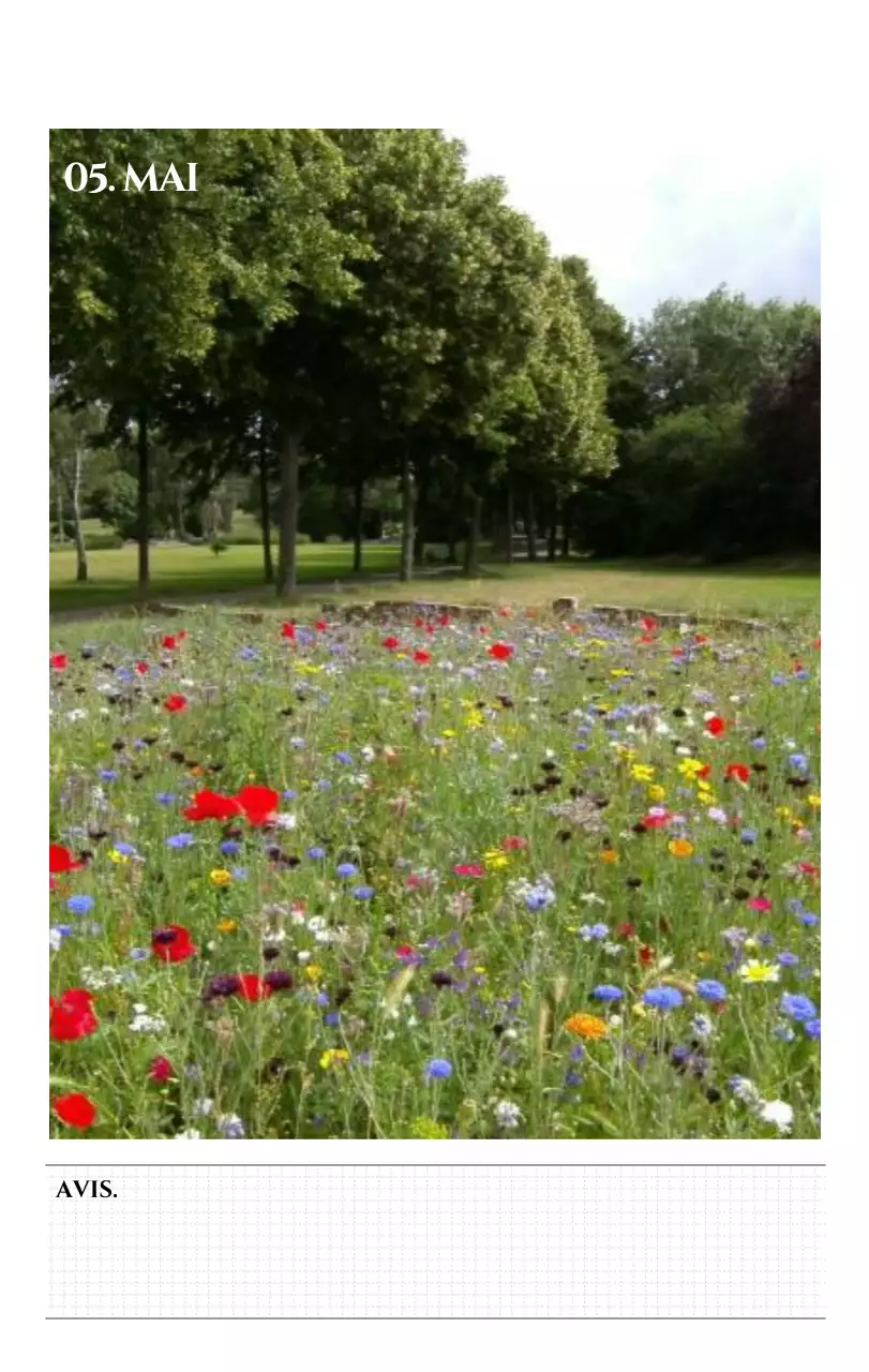 Calendrier mural de style simple avec concept de photographie de voyage émotionnelle en noir et blanc