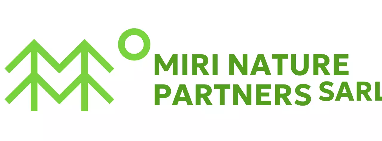 Conservation de la nature avec des illustrations simples d'arbres et des couleurs vertes