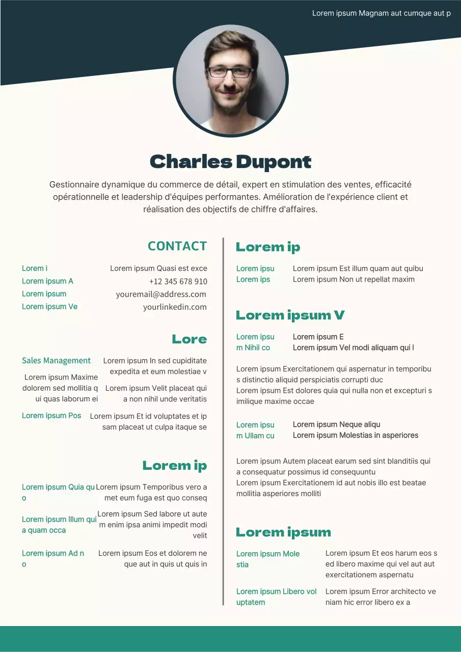 C.V. de gestionnaire de commerce de détail géométrique marine et beige