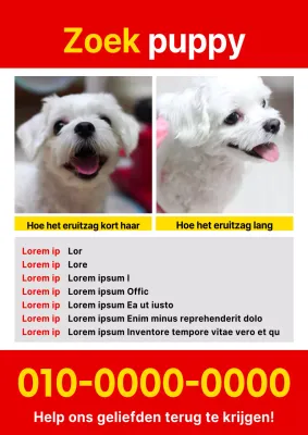 Eenvoudige rood met gele flyer voor verloren huisdieren