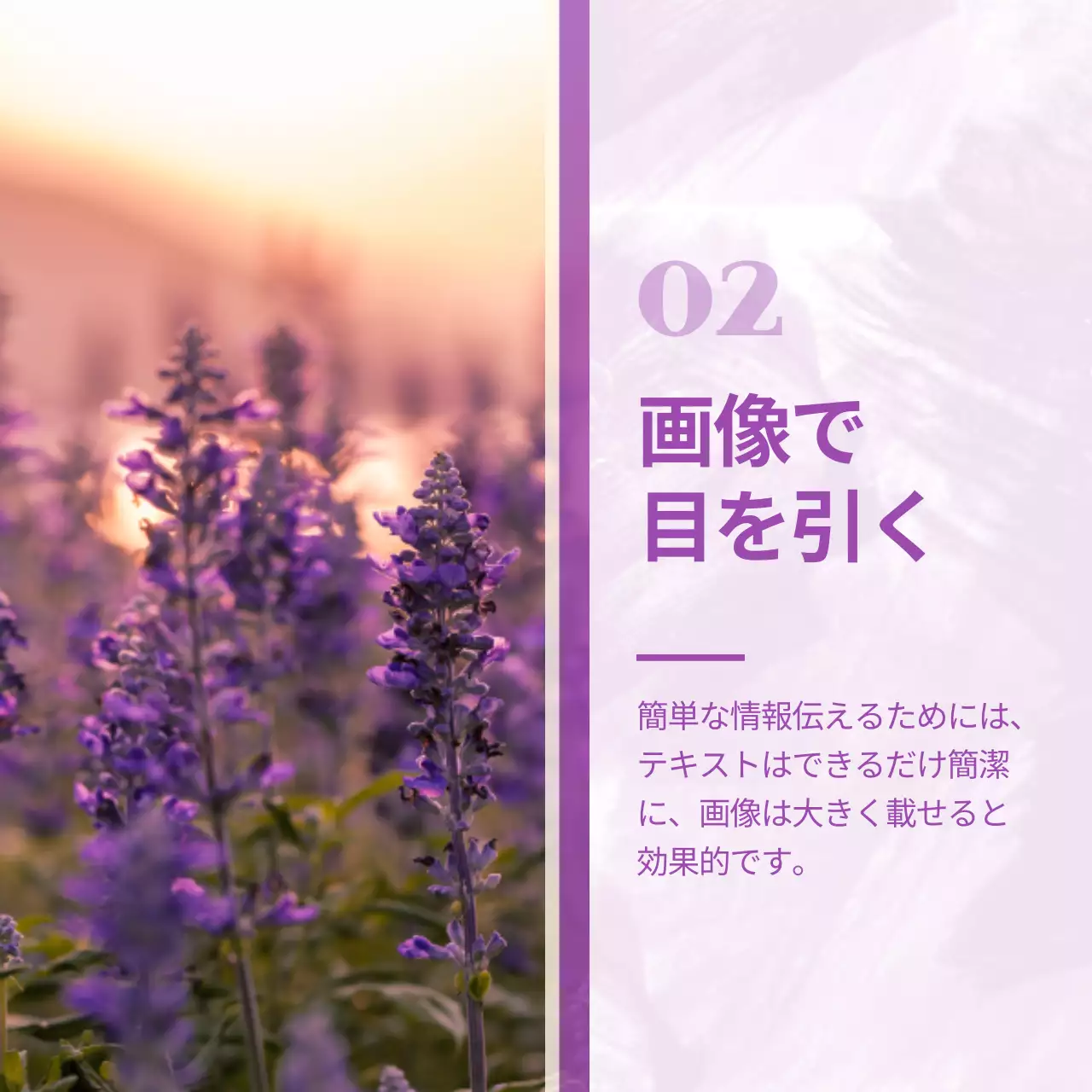 紫 シンプル ソーシャルメディア チラシ Instagram カルーセル