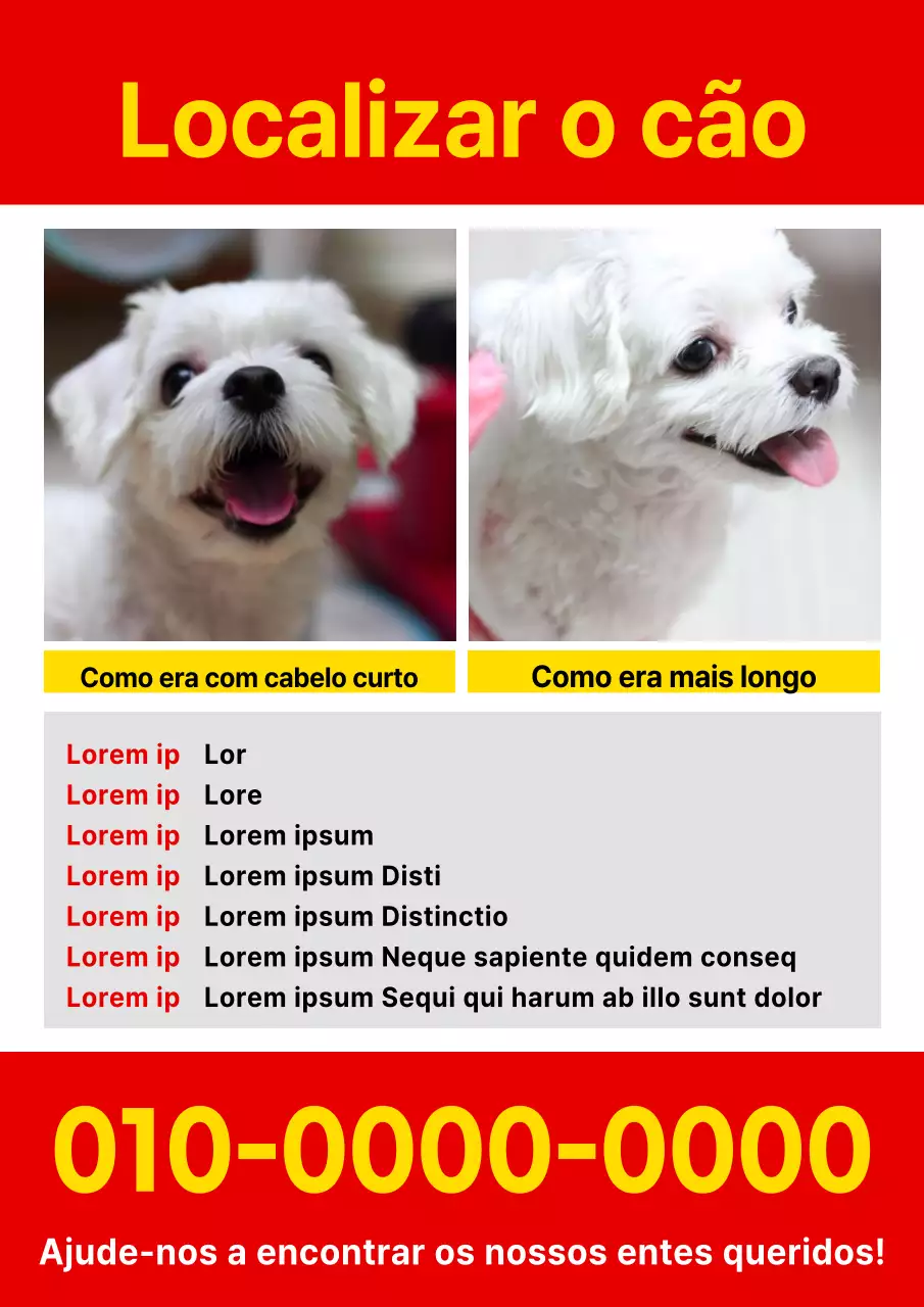Folheto simples vermelho e amarelo para animais perdidos