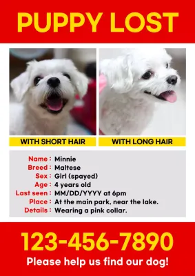 Red Bold Lost Dog Notice