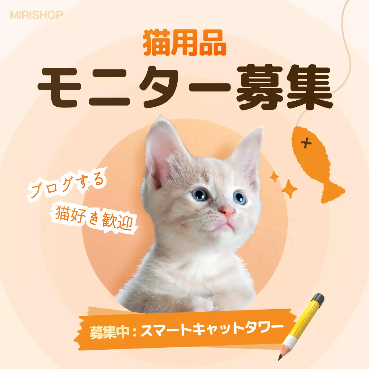オレンジ かわいい 猫 広告 SNS投稿 正方形