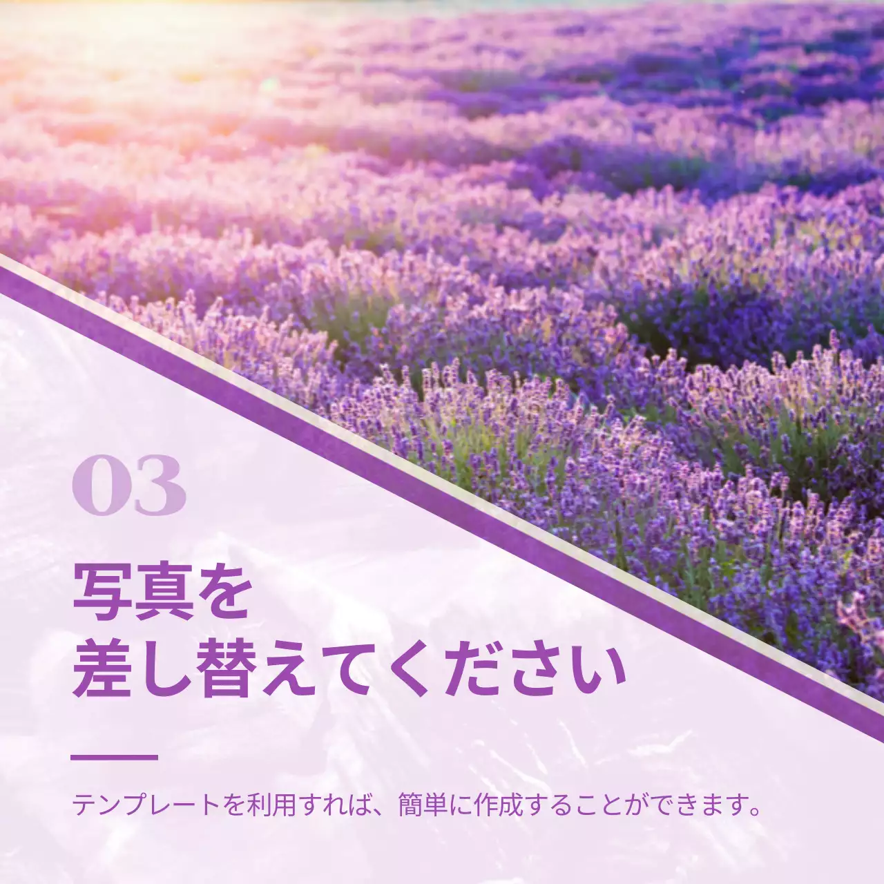 紫 シンプル ソーシャルメディア チラシ Instagram カルーセル