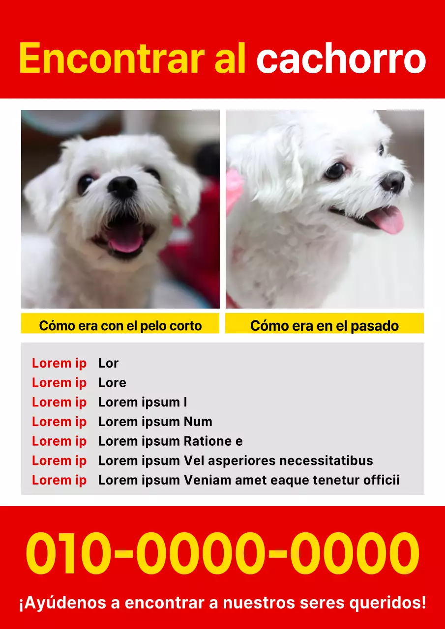 Volante sencillo rojo y amarillo sobre mascotas perdidas