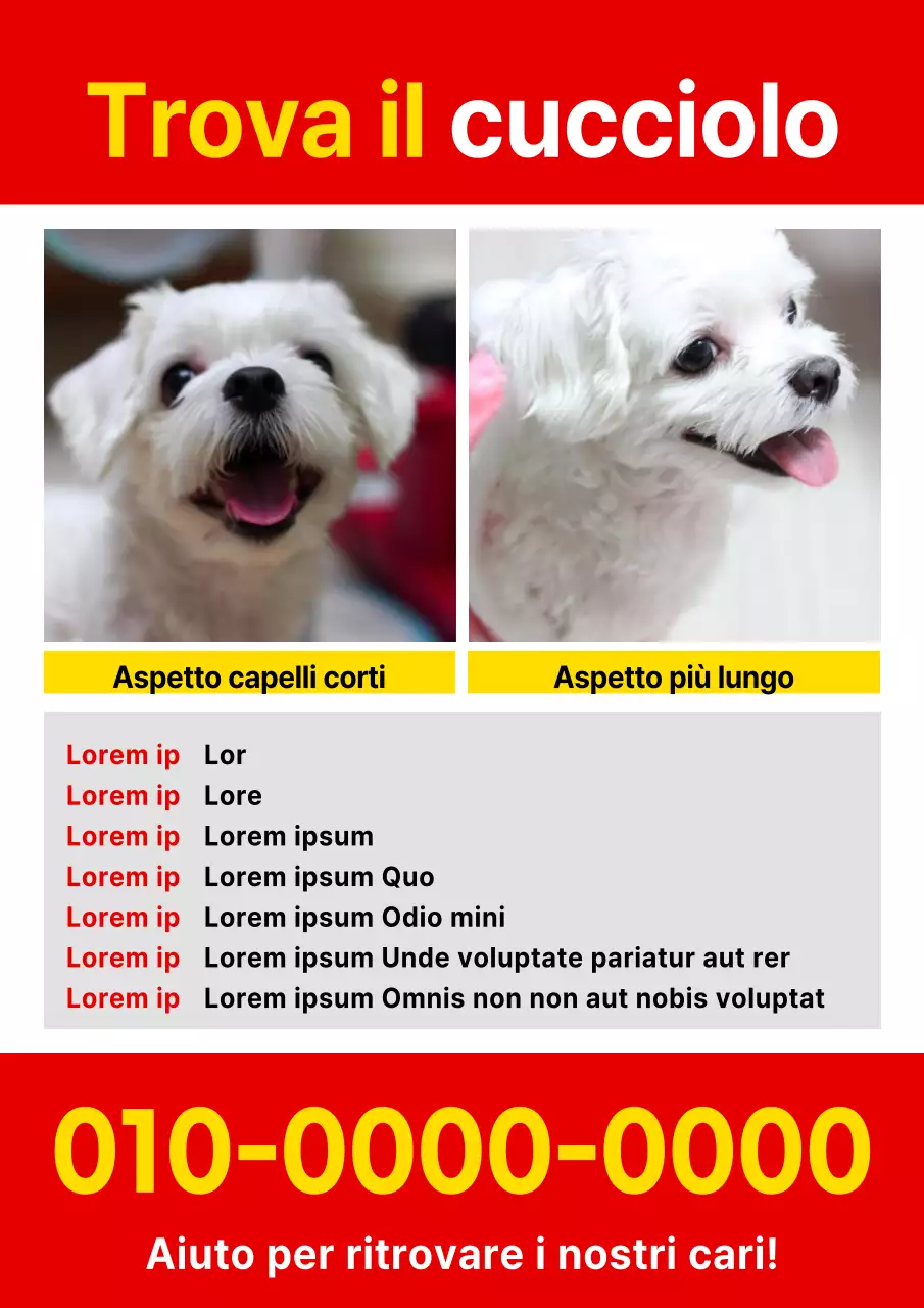 Semplice volantino rosso e giallo per animali smarriti