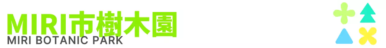 鮮やかな色彩のブランドデザイン