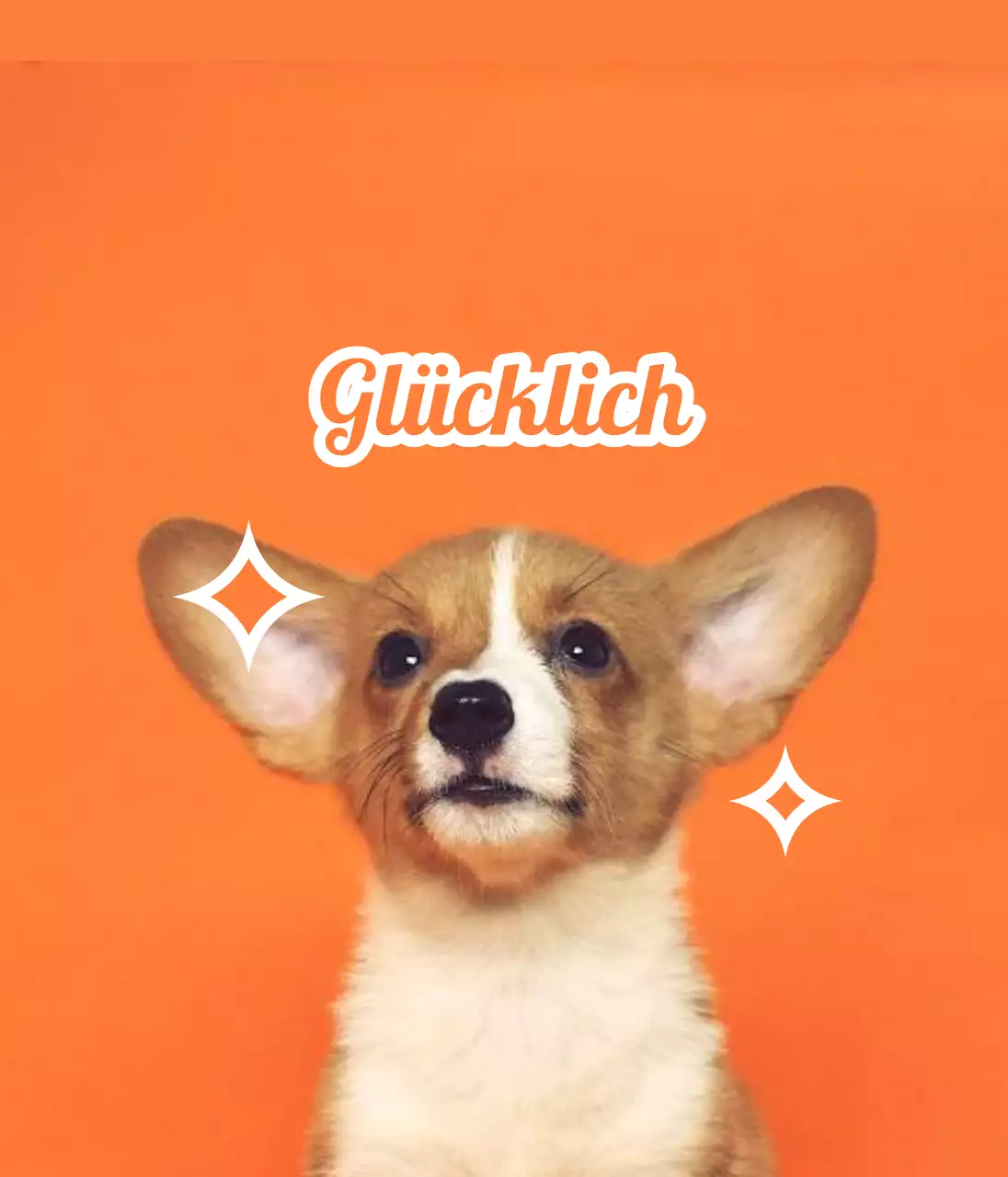 Namensschilder mit niedlichen Tierfotos gestalten