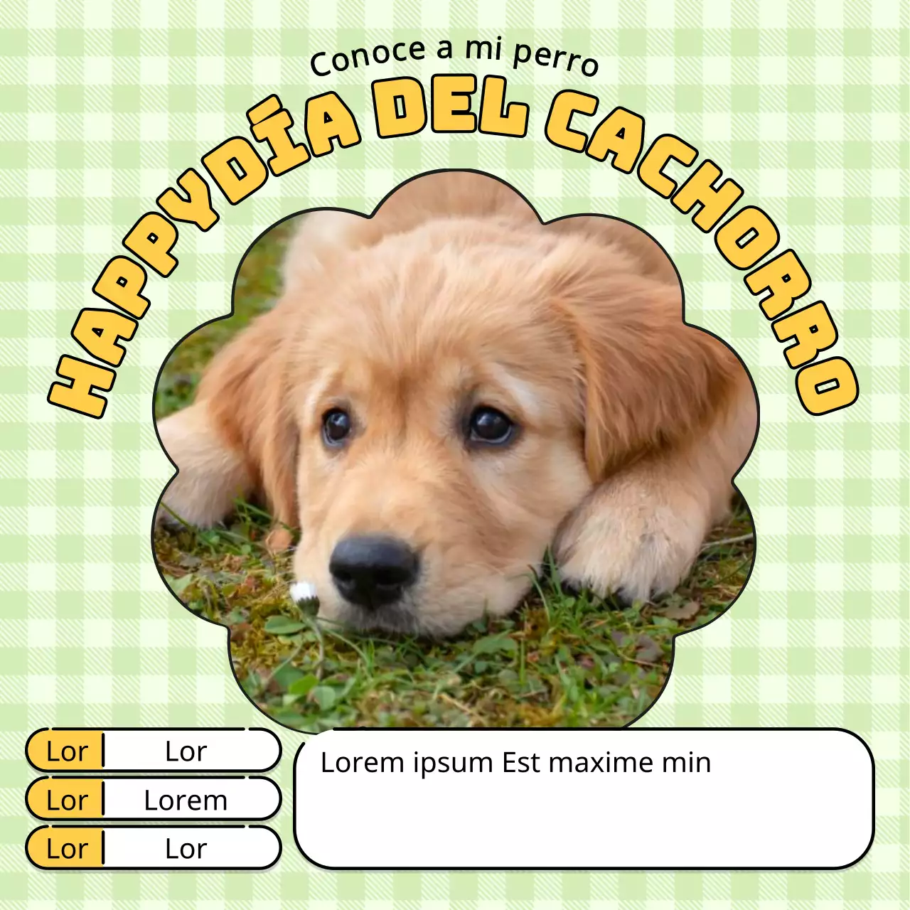 Promociona un cachorro kitsch en chartreuse