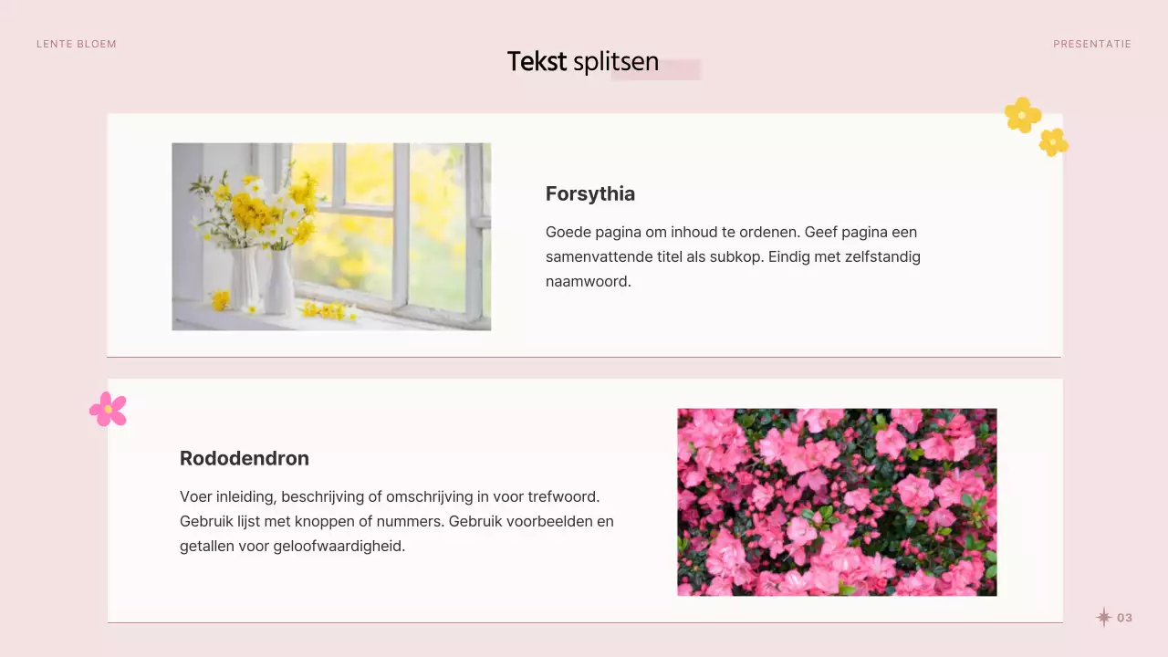 Mooie voorjaarsbloemen in roze en witte presentatie