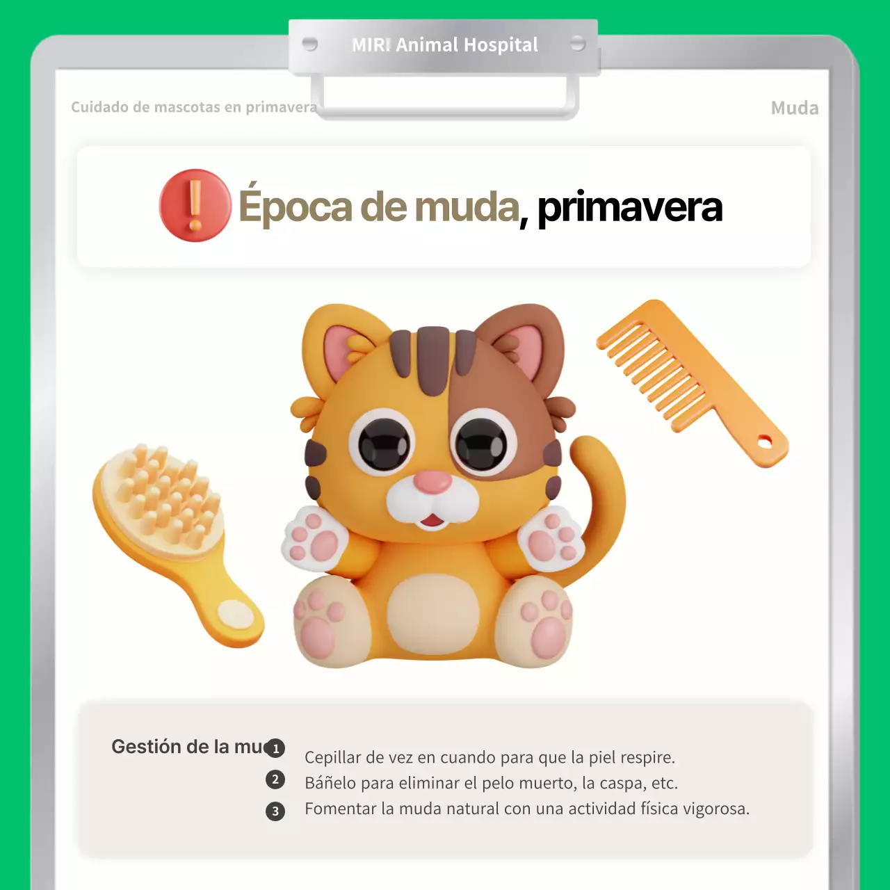 Los cuidados primaverales de las mascotas explicados con sencillos colores verdes y marrones