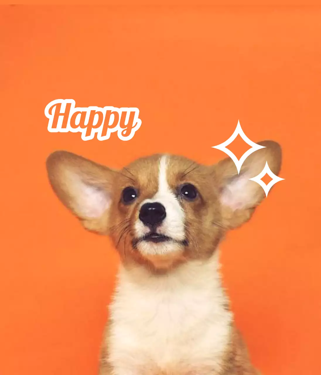 Ontwerp naamplaatjes met schattige dierenfoto's