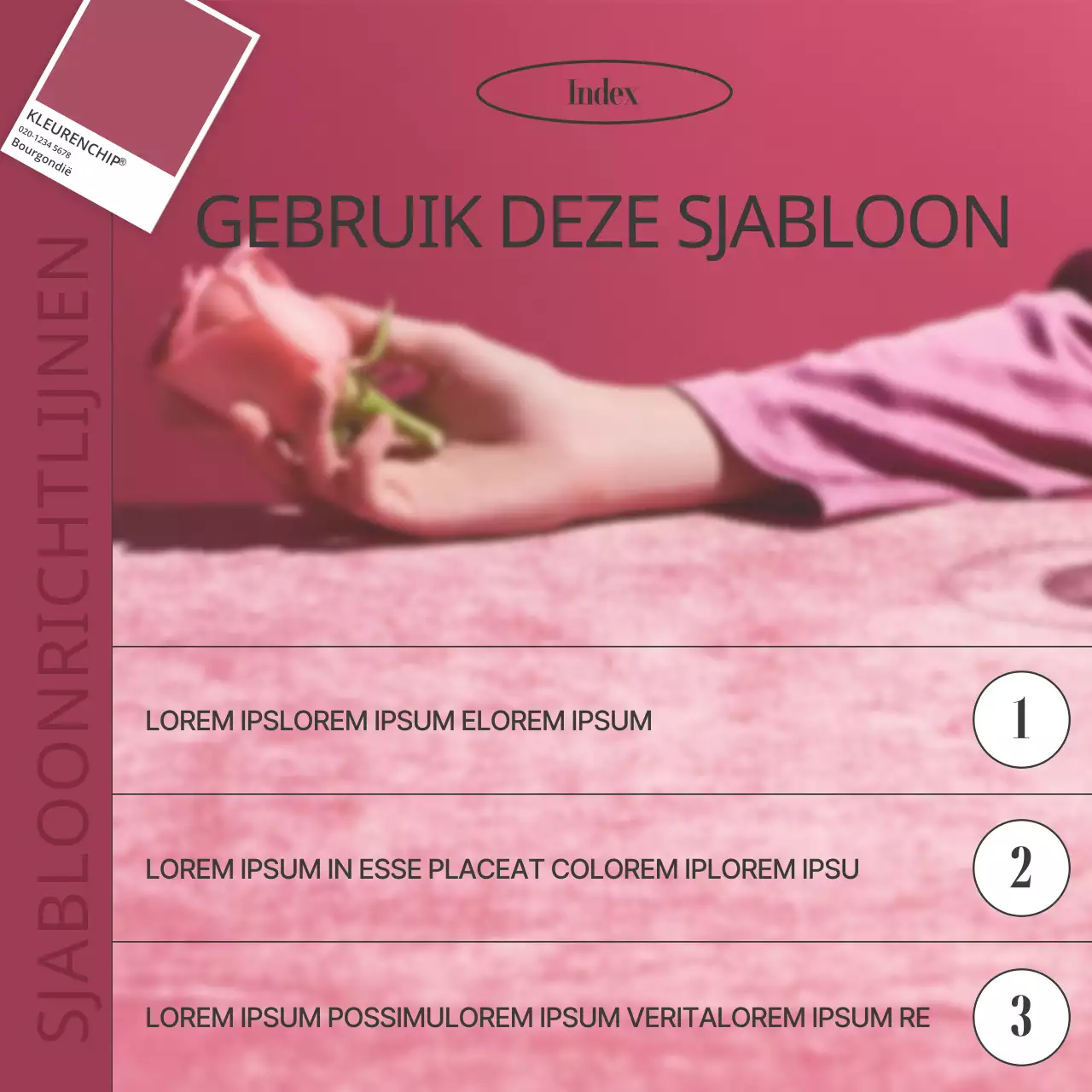 Hippe miniaturen in roze en wit voor sociale media