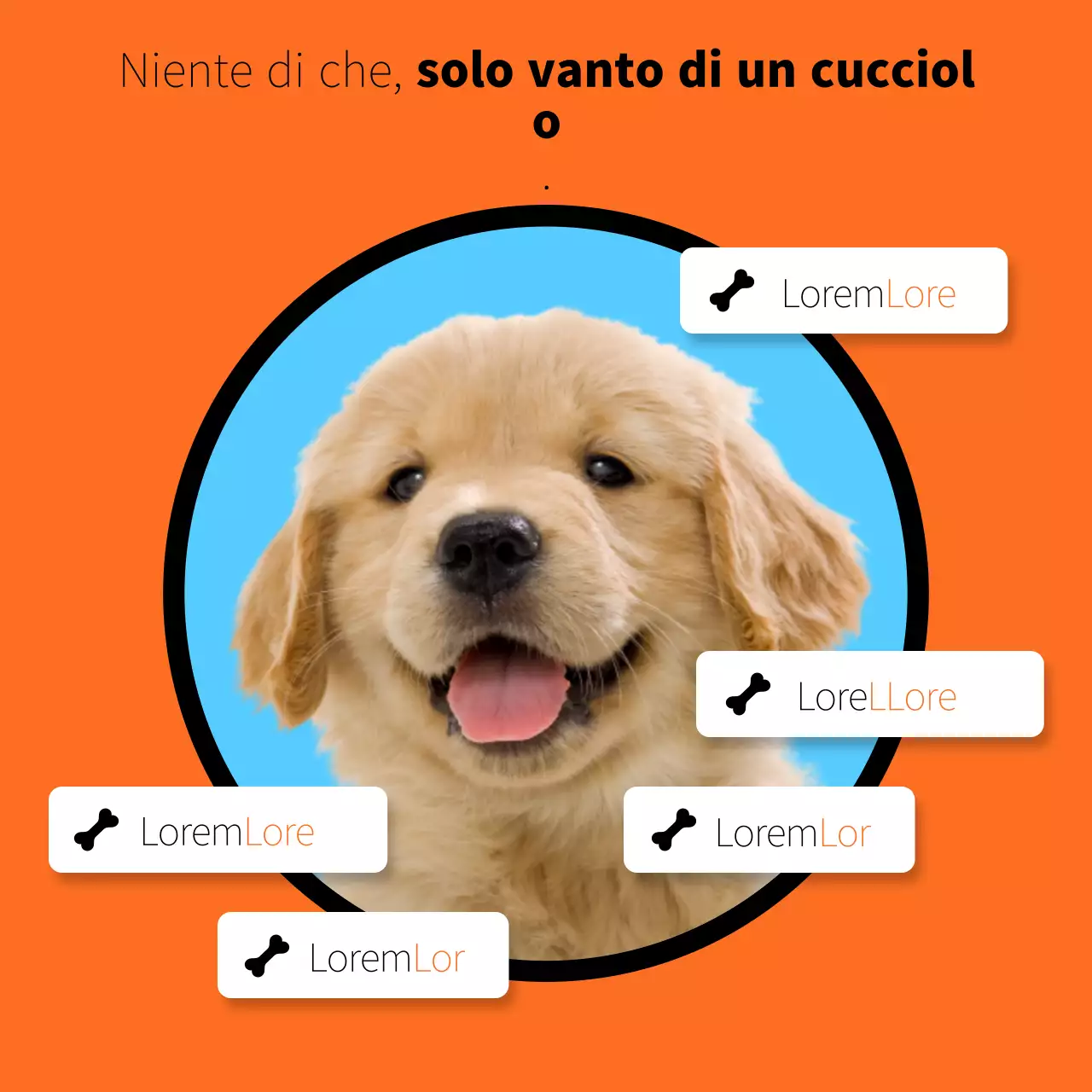 Un semplice post di vanto per i cuccioli in arancione e azzurro