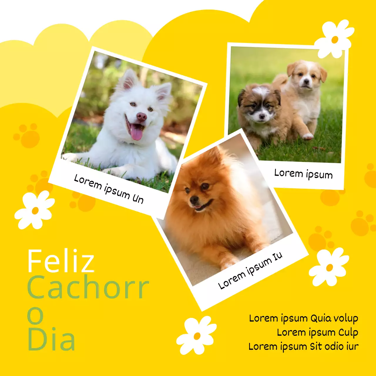 Promova o Dia Mundial do Cãozinho com este adorável esquema de cores amarelo e chartreuse