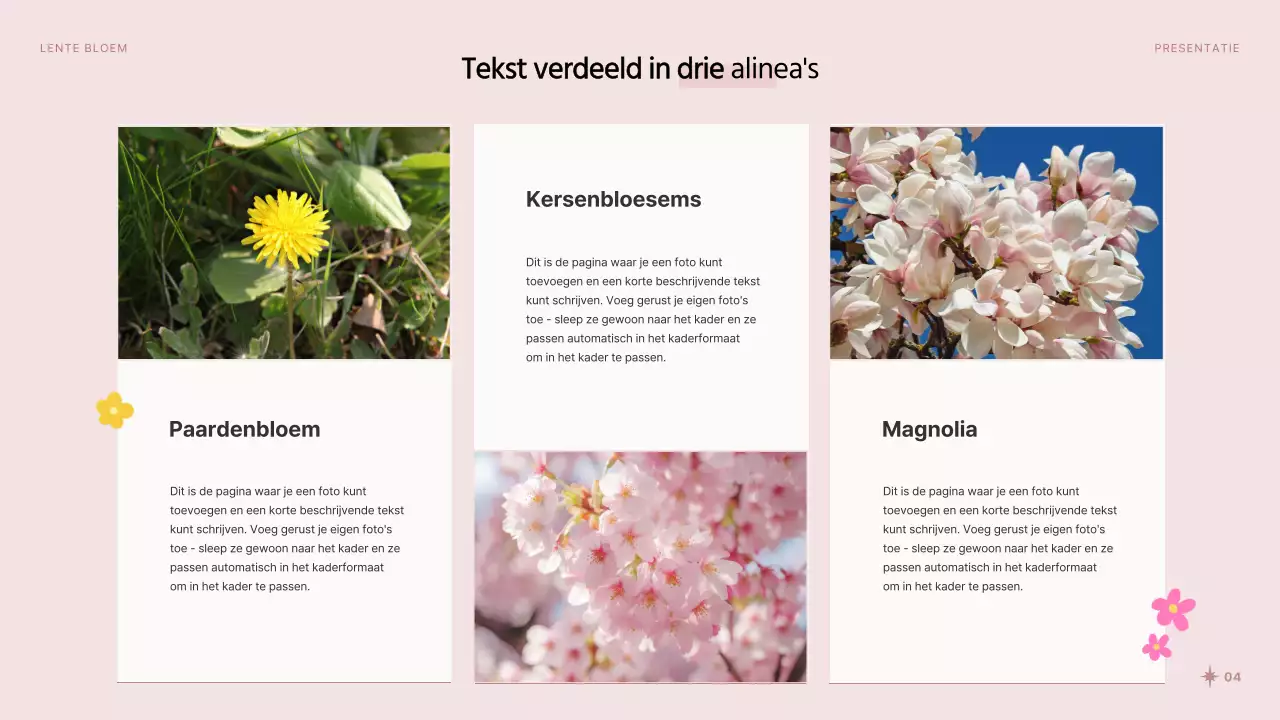 Mooie voorjaarsbloemen in roze en witte presentatie