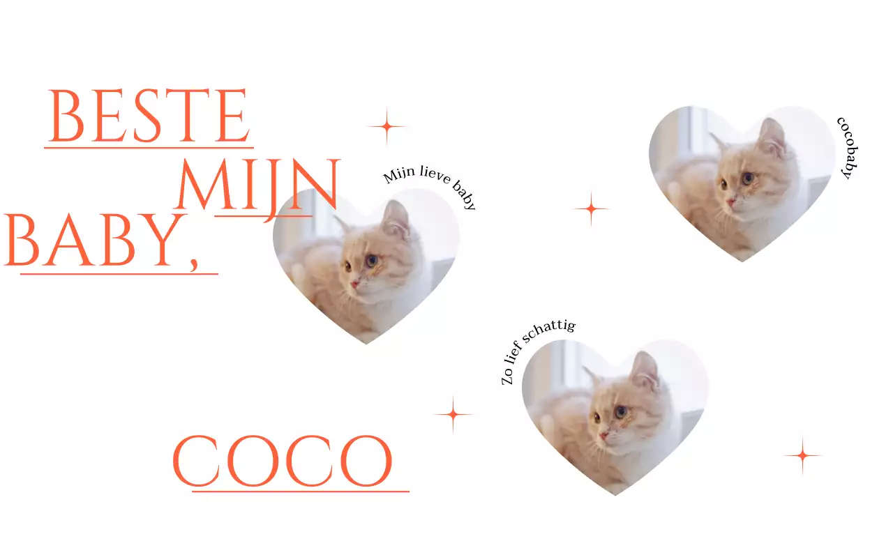 Schattige merchandise met foto's van kattenharten en rode glitters