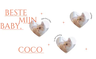 Schattige merchandise met foto's van kattenharten en rode glitters