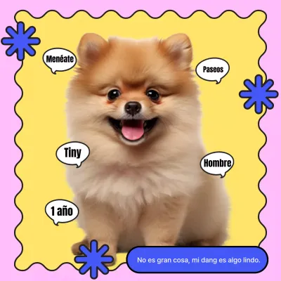 Promover una introducción básica a los cachorros azules y amarillos